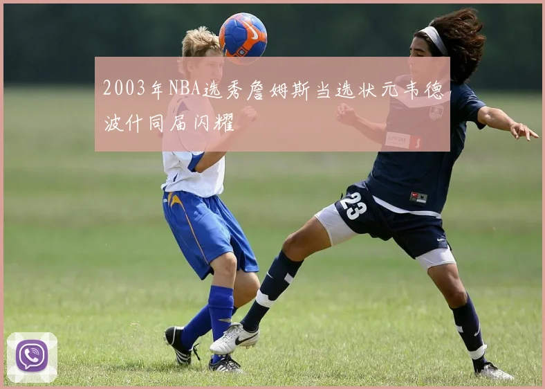 2003年NBA选秀詹姆斯当选状元韦德波什同届闪耀
