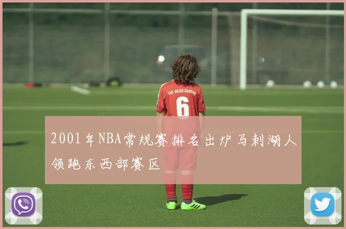 2001年NBA常规赛排名出炉马刺湖人领跑东西部赛区